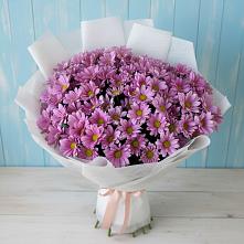 Букет цветов из:  Хризантемы в Фуньково