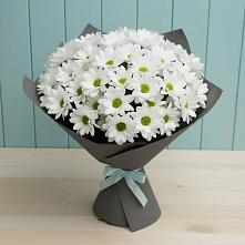 Букет цветов из:  Хризантемы в Фуньково