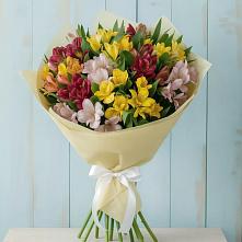 Букет цветов из:  Альстромерии в Фуньково
