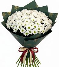 Букет цветов из:  Хризантемы в Фуньково