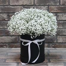 Цветочная композиция из Гипсофила в шляпной коробке в Фуньково