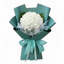 Букет цветов из:  Гортензия в Фуньково